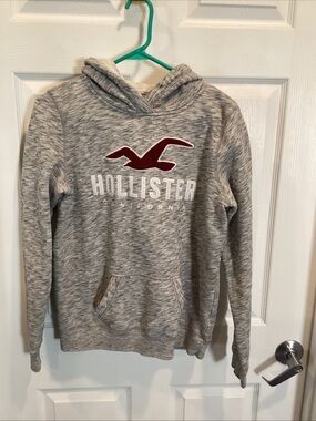 Hollister Heather Gray Hoodie with Maroon Seagull Logo
